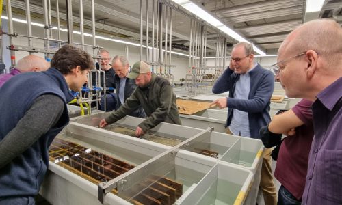 WhatsApp Image 2025-04-03 at 20.29.06