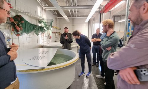 WhatsApp Image 2025-04-03 at 20.29.07 (1)