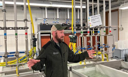 WhatsApp Image 2025-04-03 at 21.30.25